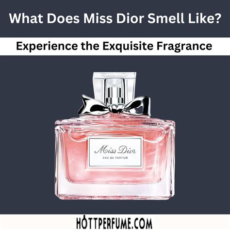 miss dior fr|what does miss dior perfume smell like.